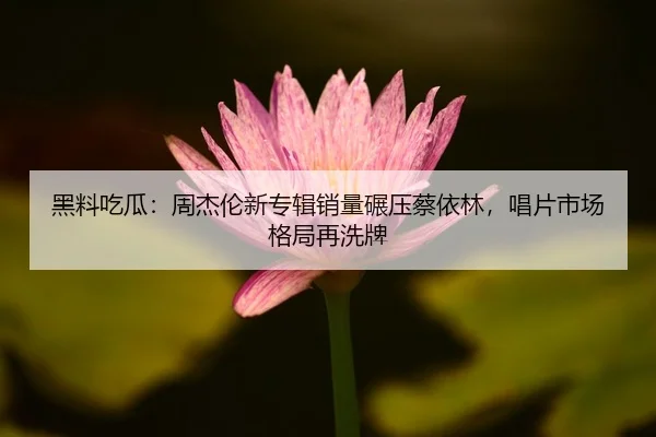 hei-liao-chi-gua-zhou-jie-lun-xin-zhuan-ji-xiao-liang-nian-ya-cai-yi-lin-chang-pian-shi-chang-ge-ju-zai-xi-pai-2-486.jpg